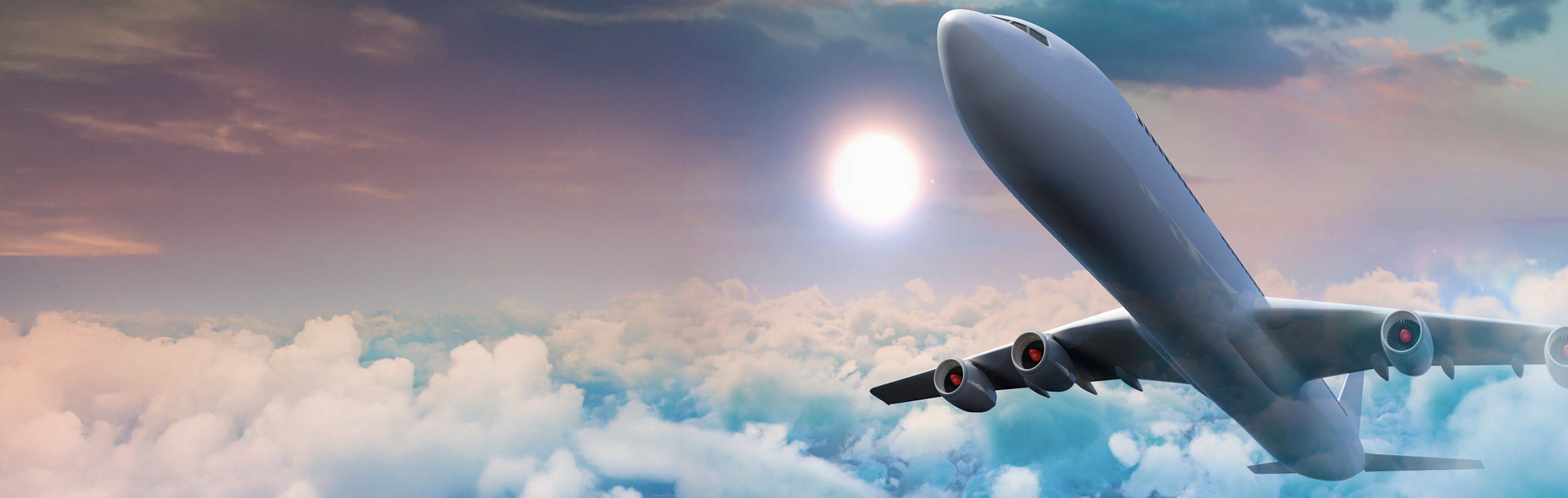Airline offer banner