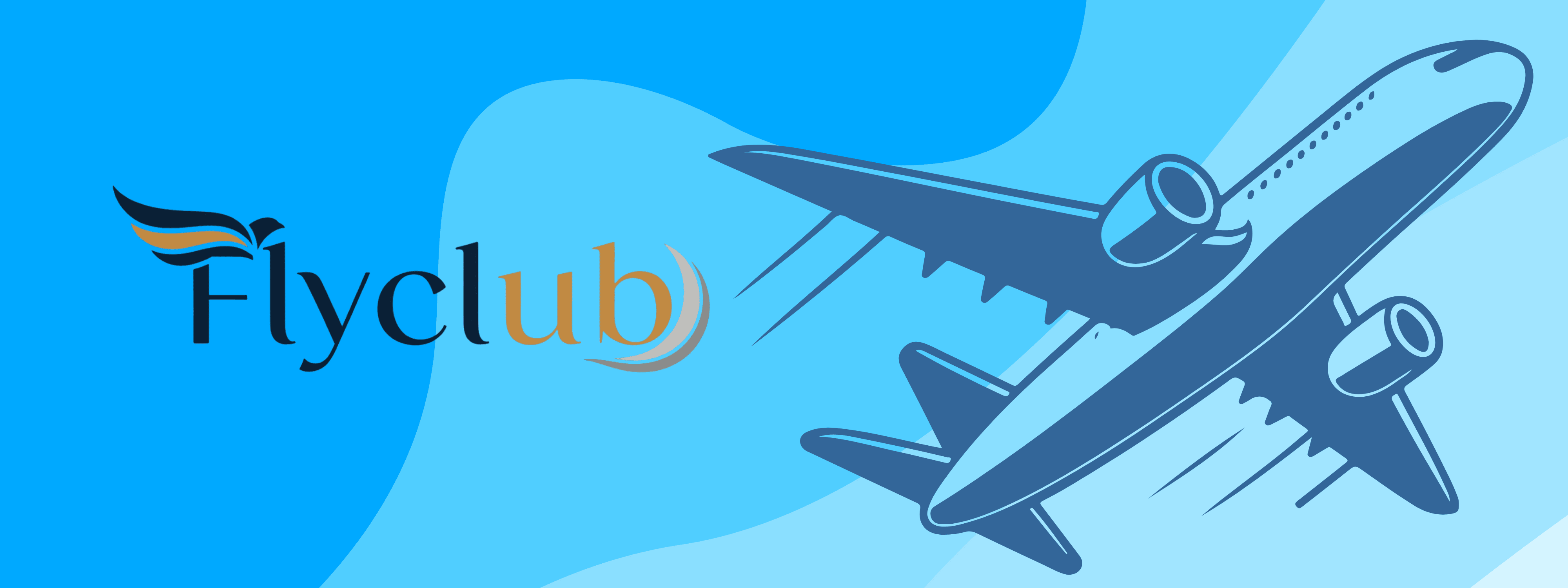 Airline offer banner