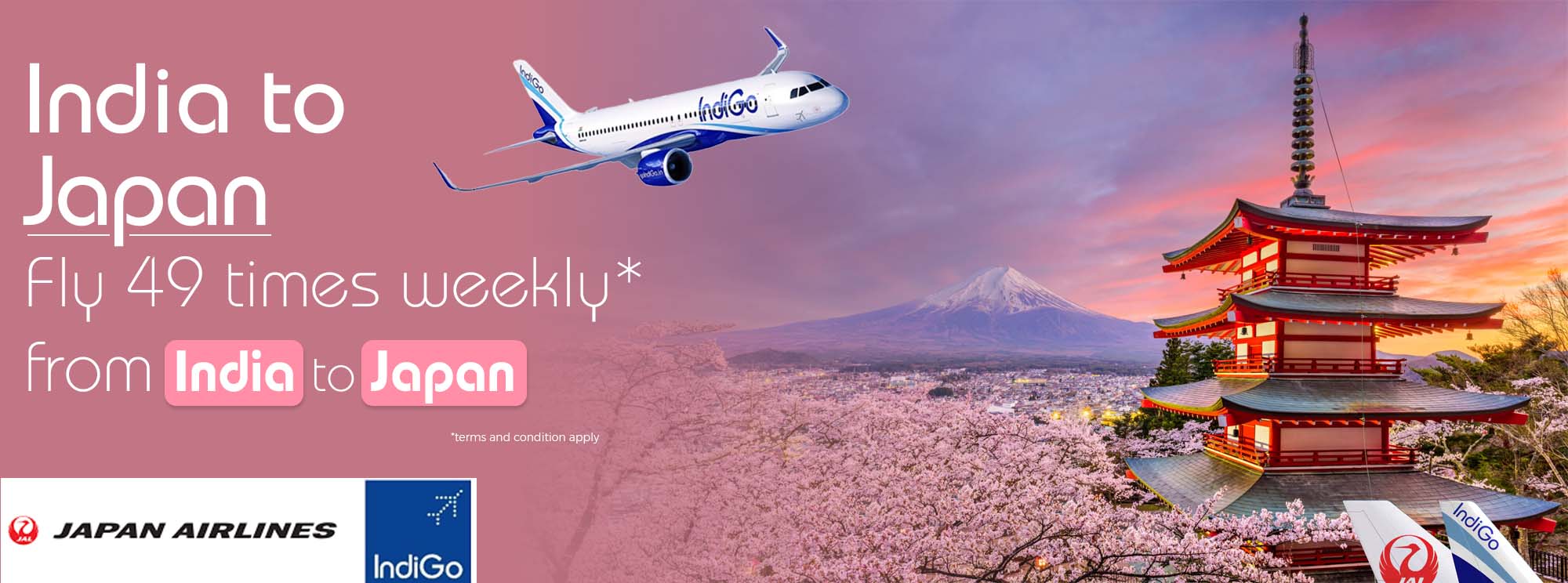 Airline offer banner