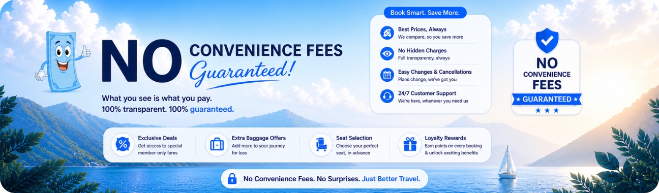 Airline offer banner