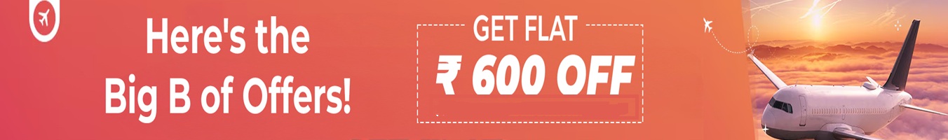 Airline offer banner