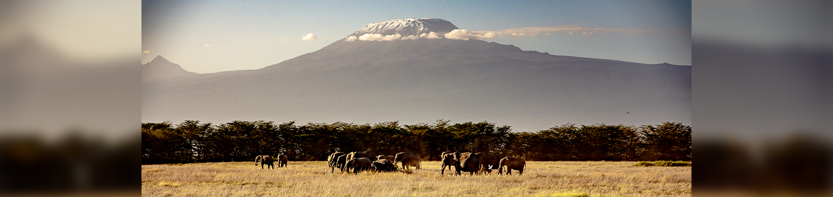 Best Travel Agency in Uganda – Your Ultimate Travel Companion