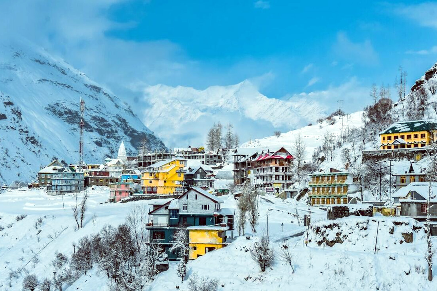 package_img_Manali