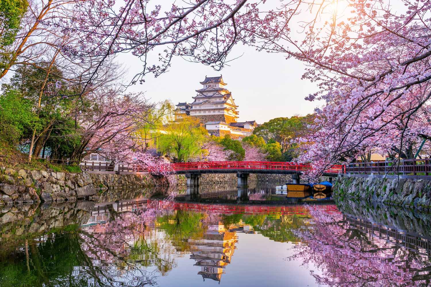 package_img_Japan