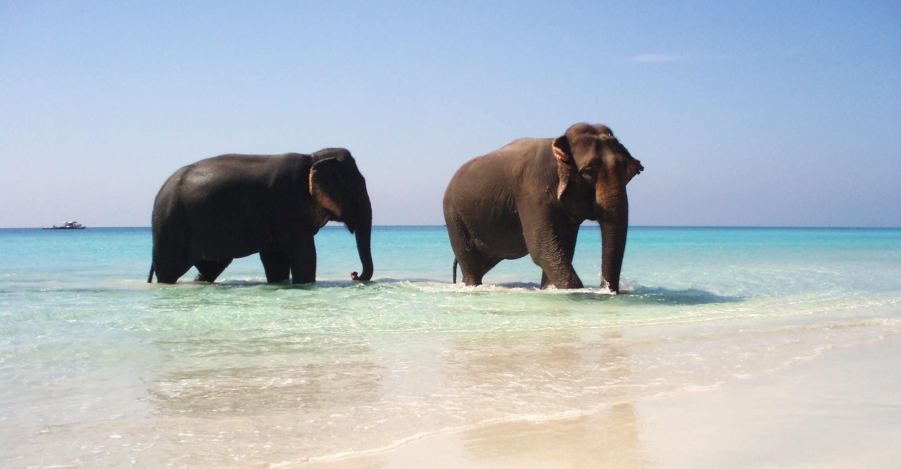 Andaman