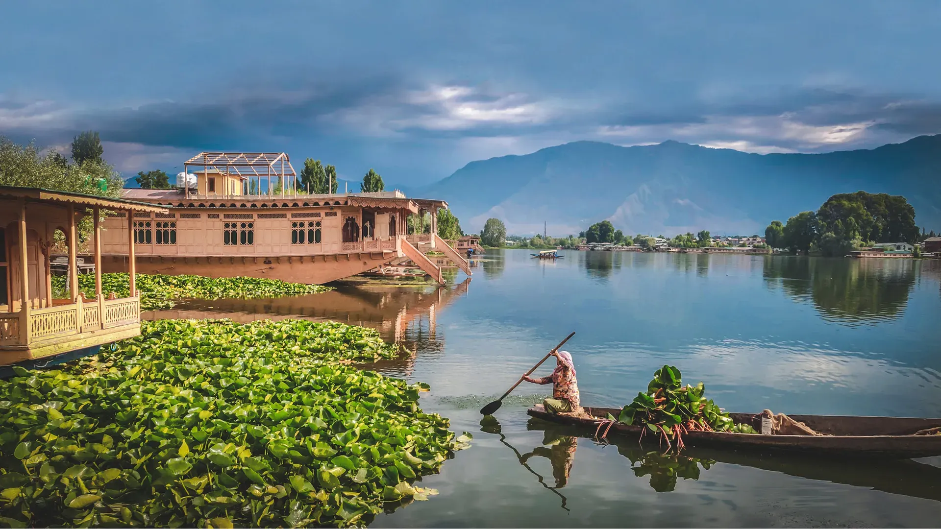 Kashmir