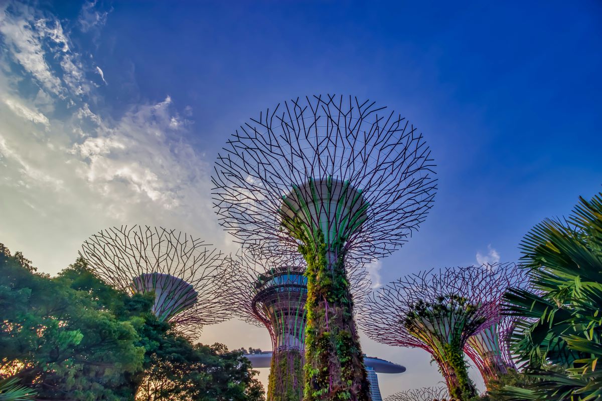 Singapore Explorer Package