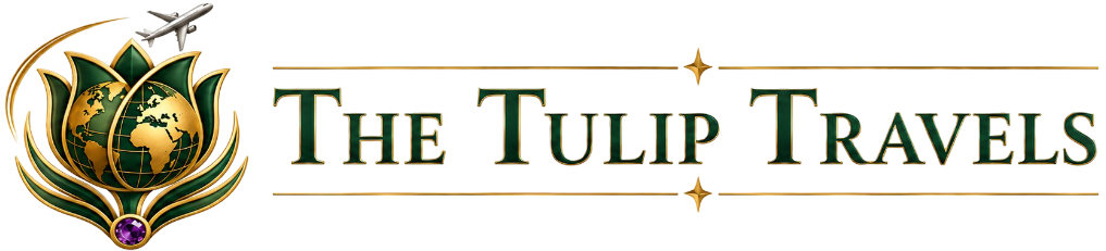 logo_img