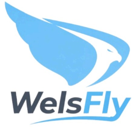 company logo Theme 2