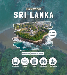 Round Trip Offer