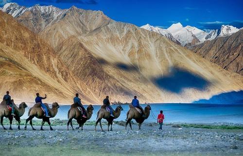 Fly To Leh