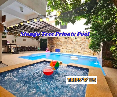 mango tree private pool