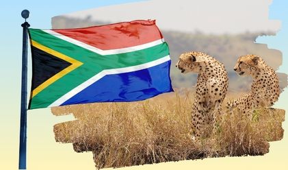 South Africa image
