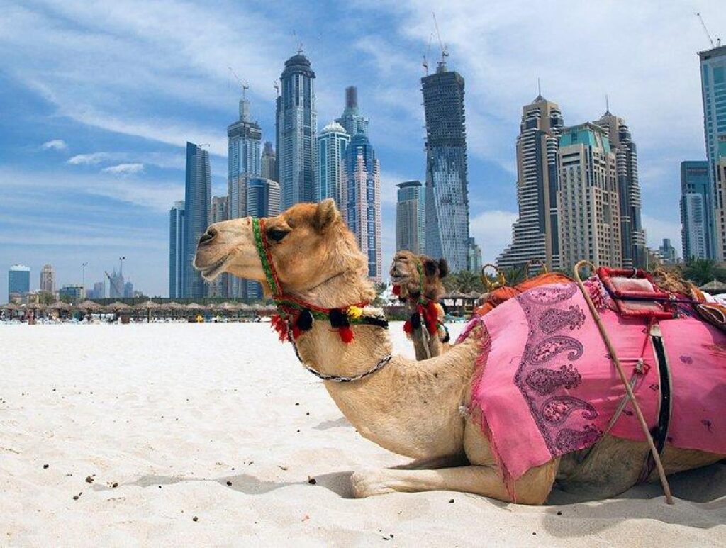 Dubai_img