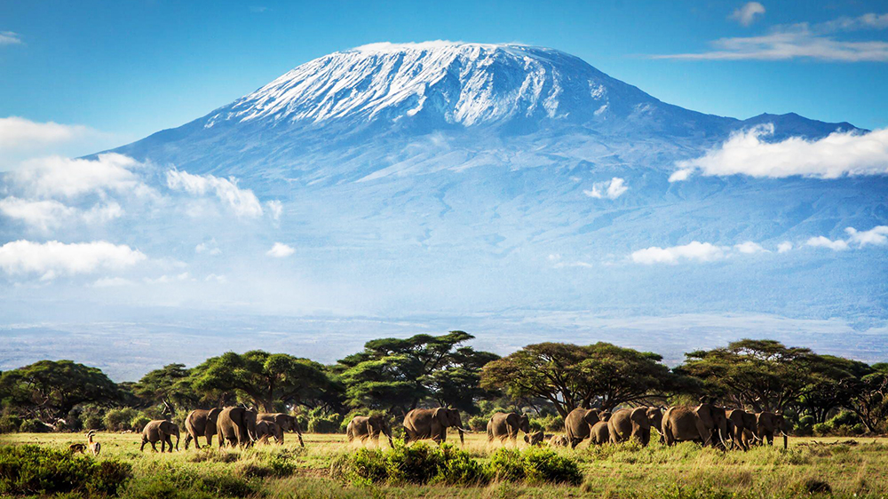 Tanzania_img