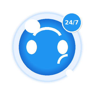 24/7 Customer Support